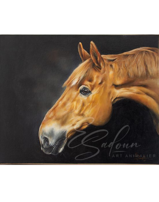 Sellano, Huile sur toile, 30x40cm, 2019-2024